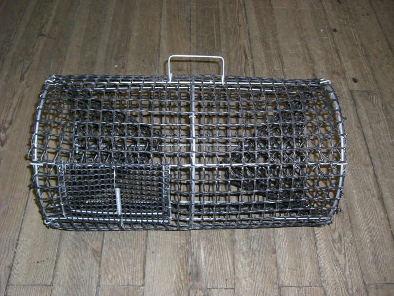 Nasse à écrevisses crabes homards piège écrevisses balance écrevisses pêche en mer ou eau douce