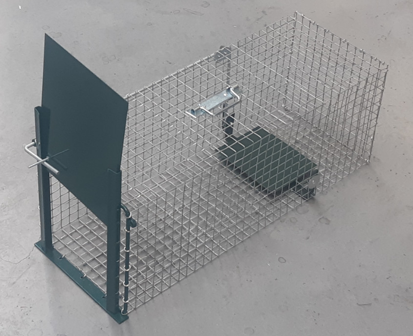 piege 1 entrée boite piege rat fauve souris