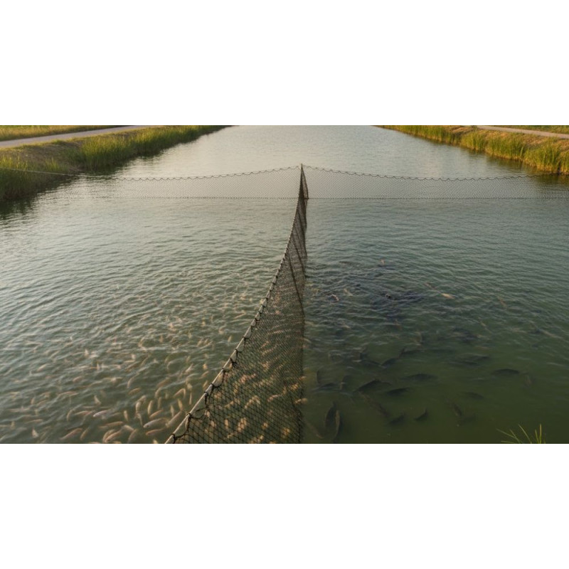 Filet de barrage pisciculture étangs bassin poissons polyéthylène maille 25 mm 50 mm