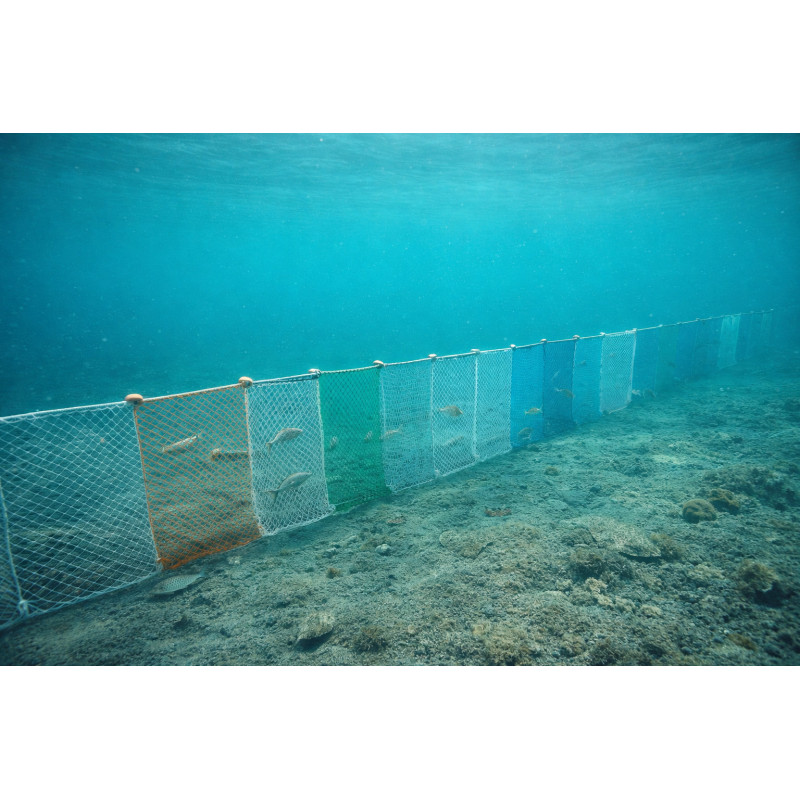 Filet benthique scientifique pêche lacs norme EN 14757 mailles successives analyse poisson