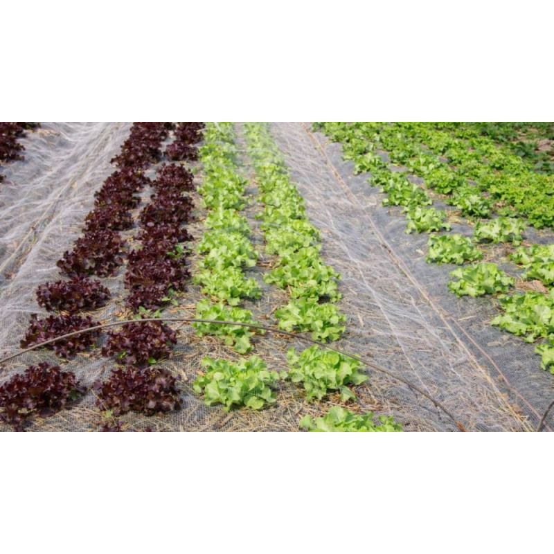 filet coton paillage sol plantation agriculture jardin potager file biodégradable écru