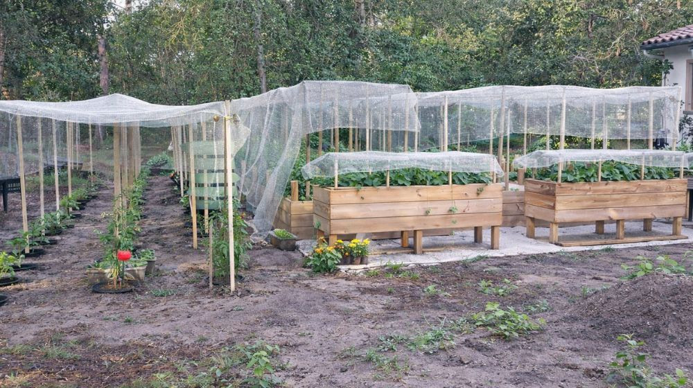 filet coton ombrage protection plantation agriculture jardin potager file biodégradable écru