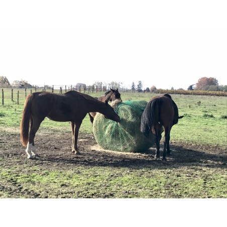 Cheval mange dans un filet à foin