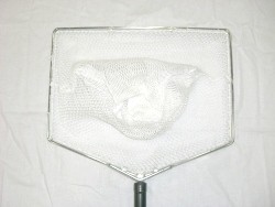 Épuisette pour la pisciculture épuisette maille 10mm élevage poissons pêche manche alu inox