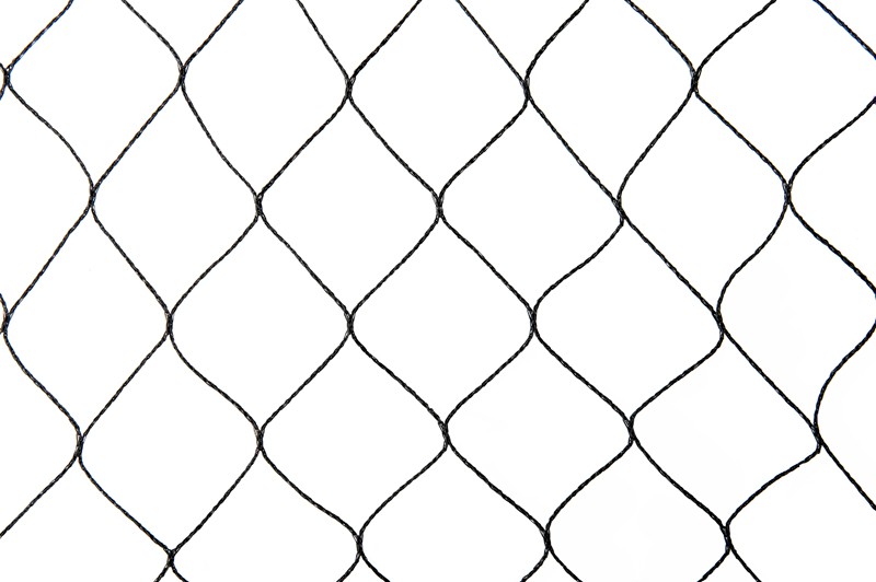 Hywean Filet Anti Oiseaux 4m x 6m Filet de Protection avec 20 Clous de  Fixation en Plastique Filet pour Jardin Filet de Volière en Maille :  : Jardin