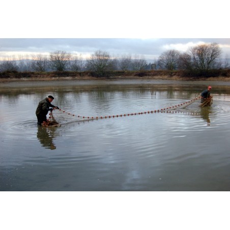 Pêche avec une senne pour vider un étang seine pisciculture filet pêche bassin poissons étang mer