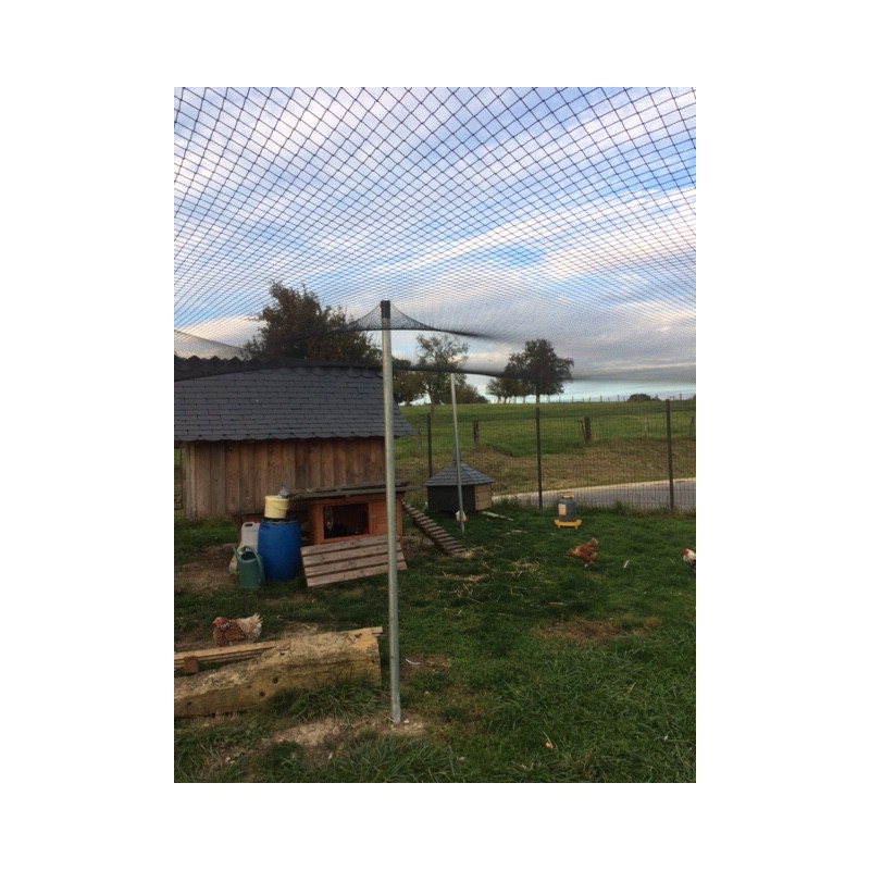 Poulailler recouvert d'un filet de volière