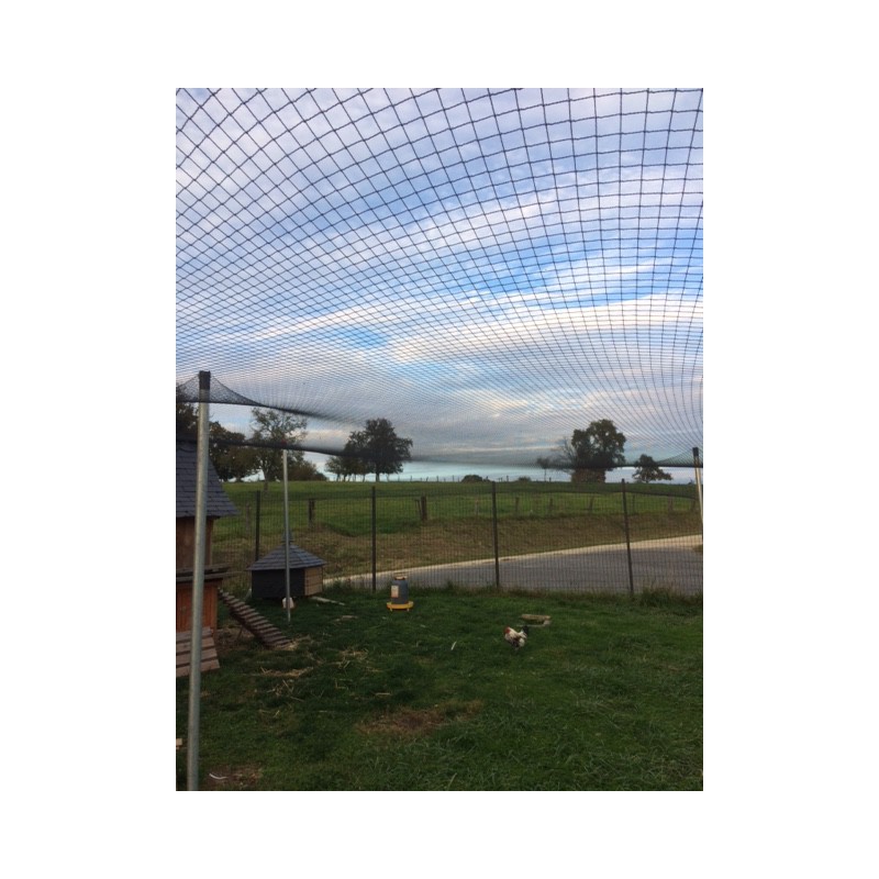 Volière recouverte d'un filet avec des poules naines