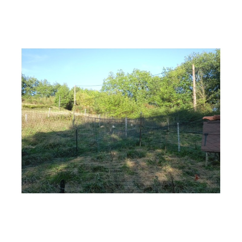 Volière protégée des buses par un filet